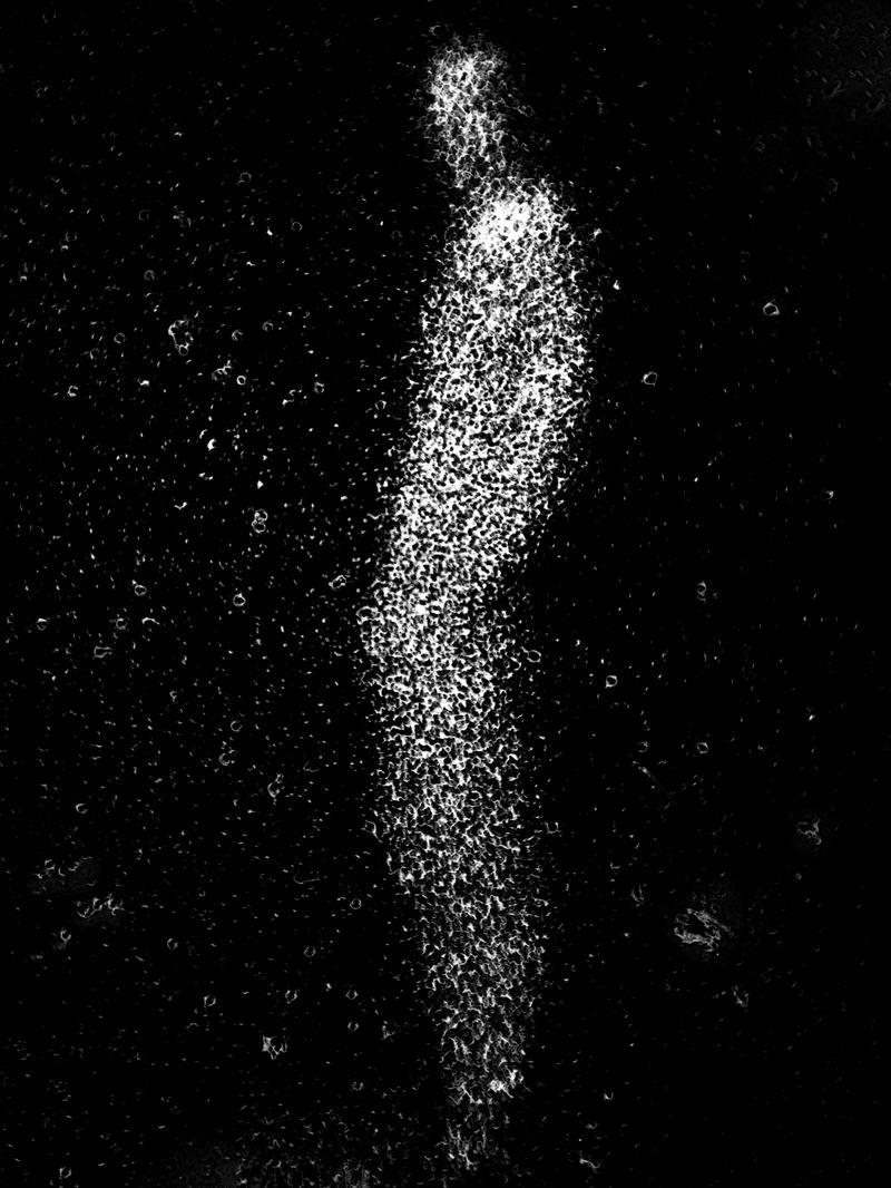 © Maxim Ivanov - Image from the Winners photography project