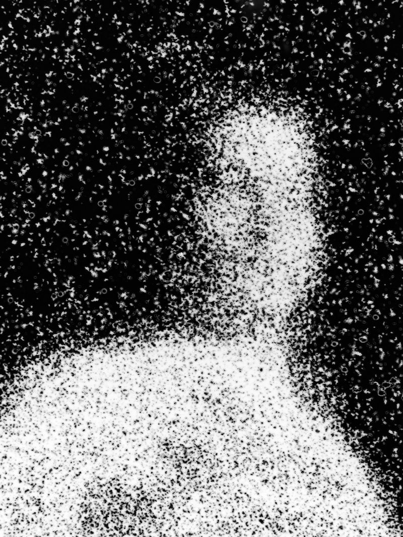 © Maxim Ivanov - Ivan Kuzmin from Moscow. Close-up portrait taken on film through a microscope.