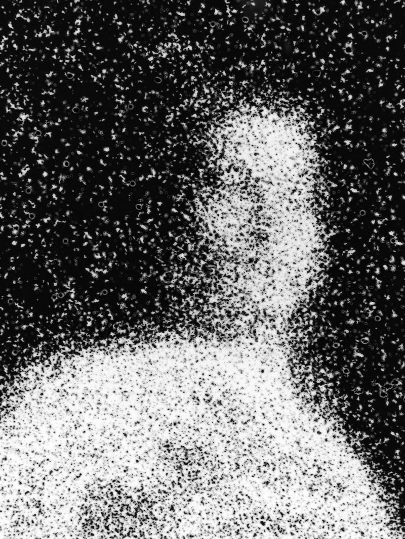 © Maxim Ivanov - Ivan Kuzmin from Moscow. Close-up portrait taken on film through a microscope.