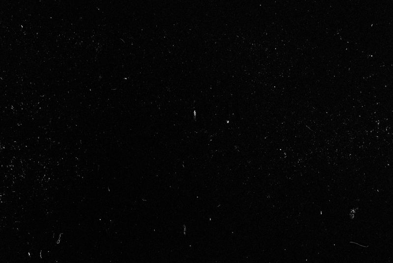 © Maxim Ivanov - Image from the Winners photography project