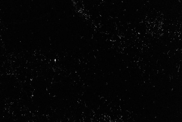 © Maxim Ivanov - Ivan Kuzmin from Moscow. Full-scale portrait taken on film through a flipped telescope.