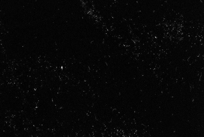 © Maxim Ivanov - Ivan Kuzmin from Moscow. Full-scale portrait taken on film through a flipped telescope.