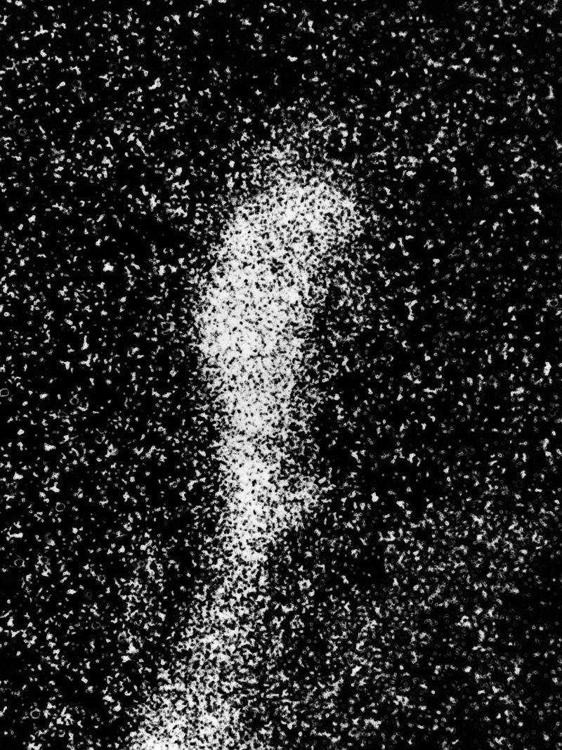 © Maxim Ivanov - Denis Purytin from Saint Petersburg. Close-up portrait taken on film through a microscope.