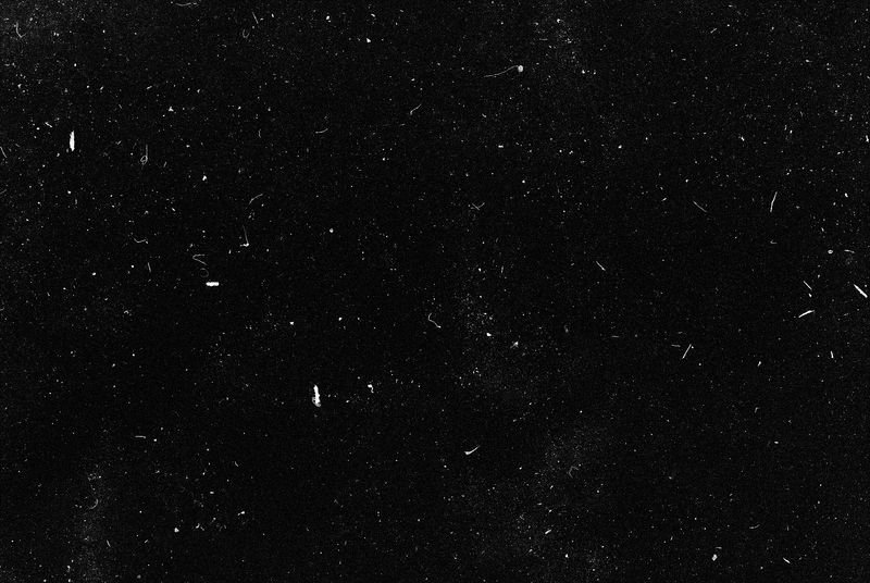 © Maxim Ivanov - Dmitriy Tsarev from Moscow. Full-scale portrait taken on film through a flipped telescope.