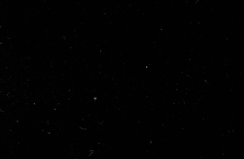 © Maxim Ivanov - Alexey Shishkin from Mordovia. Full-scale portrait taken on film through a flipped telescope.