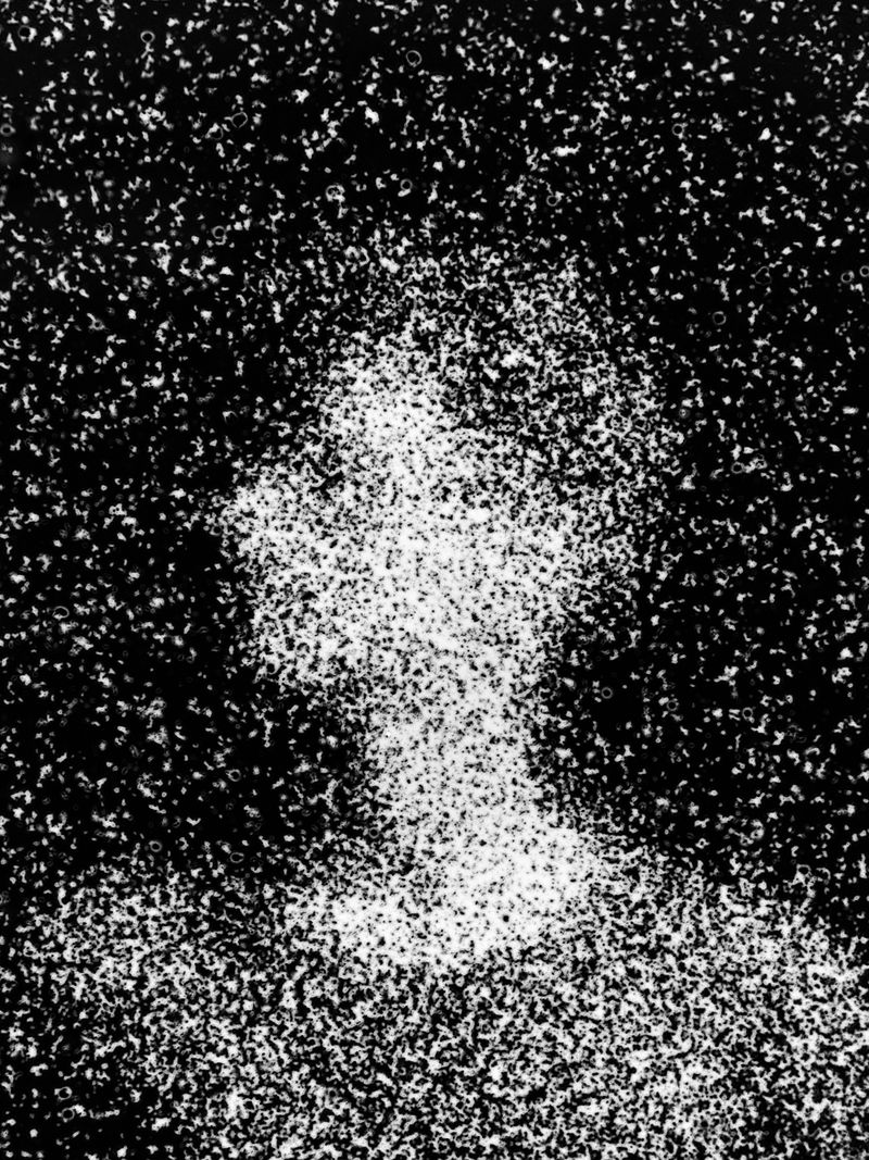 © Maxim Ivanov - Image from the Winners photography project