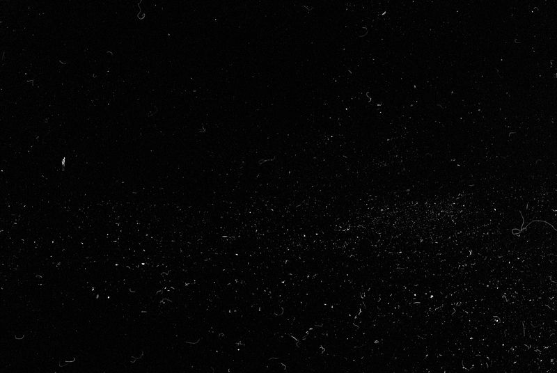 © Maxim Ivanov - Pavel Arkhipov from Saint Petersburg. Full-scale portrait taken on film through a flipped telescope.