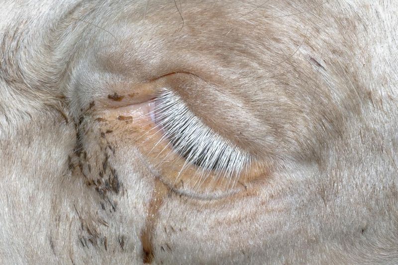 © Firo - Image from the Cotton Thread Bound Around the Waist photography project