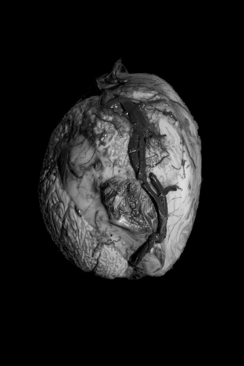 © Firo - Image from the Cotton Thread Bound Around the Waist photography project