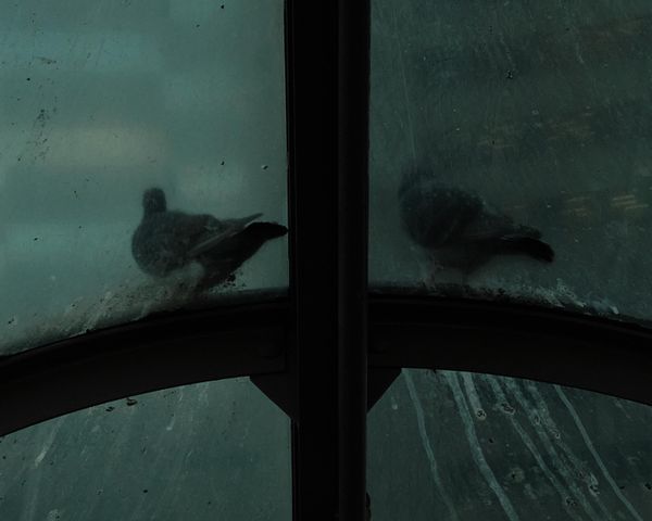 © Firo - Image from the Cotton Thread Bound Around the Waist photography project