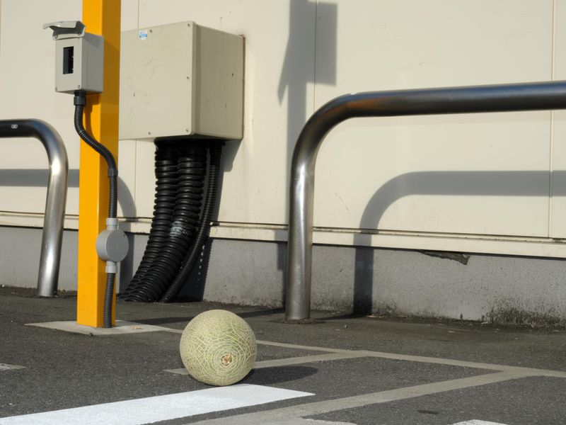 © Firo - Image from the Cotton Thread Bound Around the Waist photography project