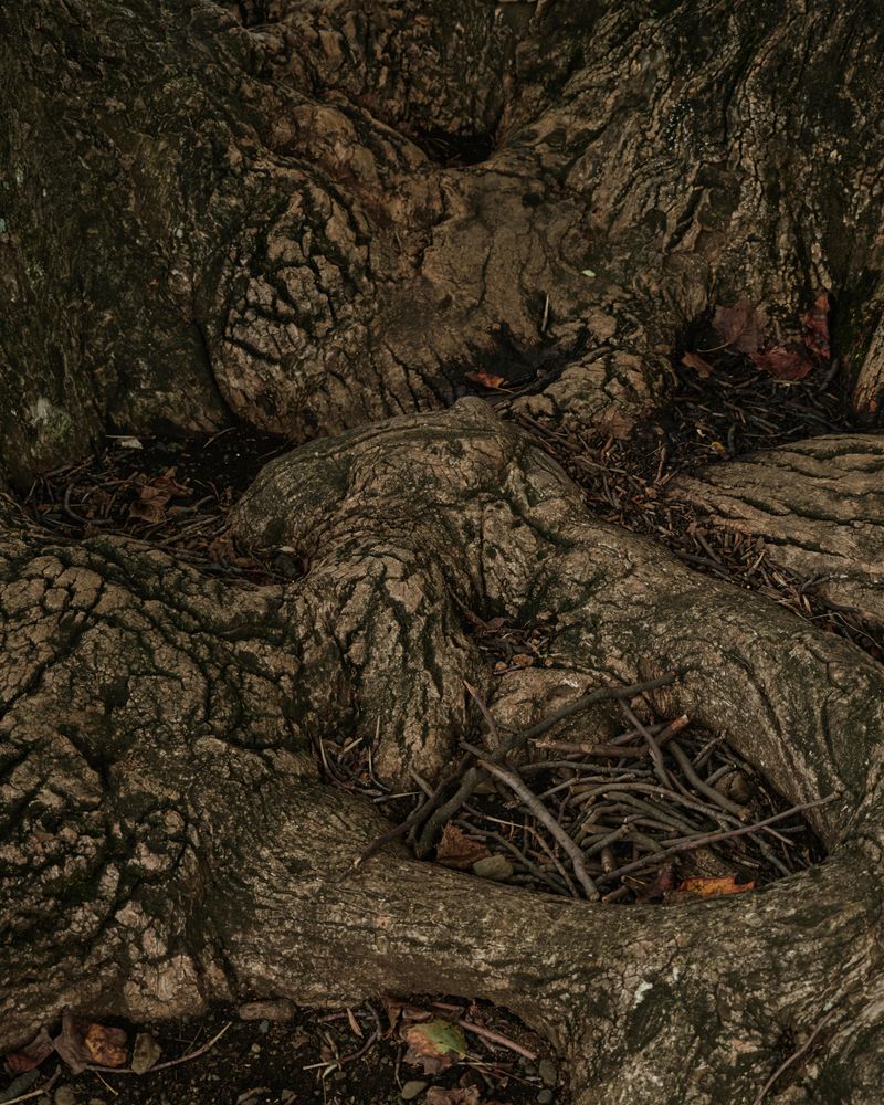 © Firo - Image from the Cotton Thread Bound Around the Waist photography project
