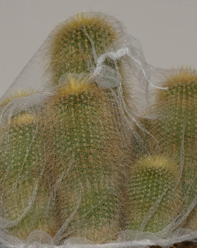 © Firo - Image from the SHELL photography project