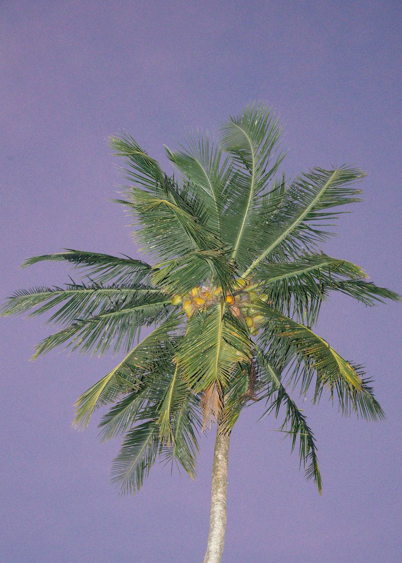 © Sarah Jade Sullivan - Image from the Hairouna photography project