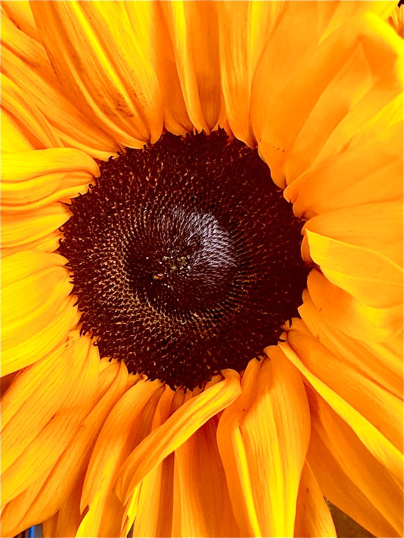 © Kriss Perras - Image from the Morning and Evening Light photography project