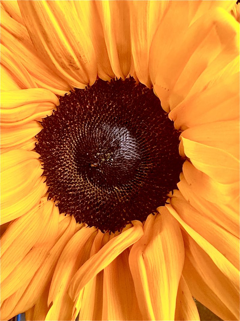 © Kriss Perras - Image from the Morning and Evening Light photography project