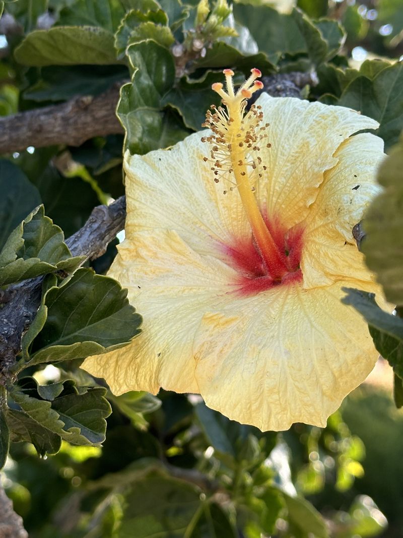 © Kriss Perras - Image from the Morning and Evening Light photography project