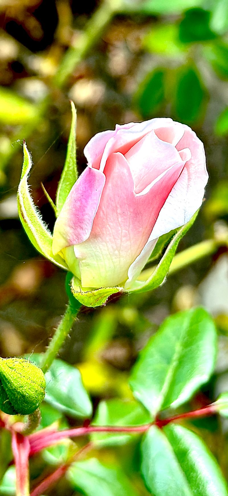 © Kriss Perras - Image from the Morning and Evening Light photography project