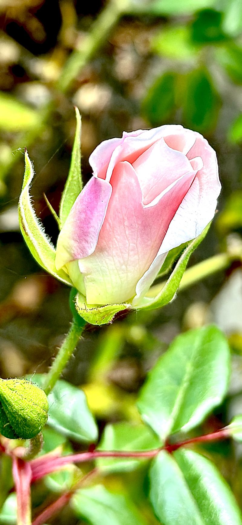 © Kriss Perras - Image from the Morning and Evening Light photography project