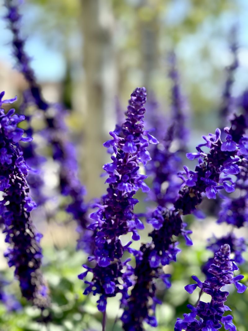 © Kriss Perras - Image from the Morning and Evening Light photography project