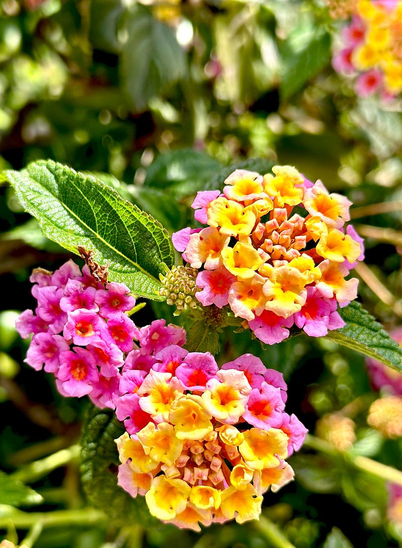 © Kriss Perras - Image from the Morning and Evening Light photography project