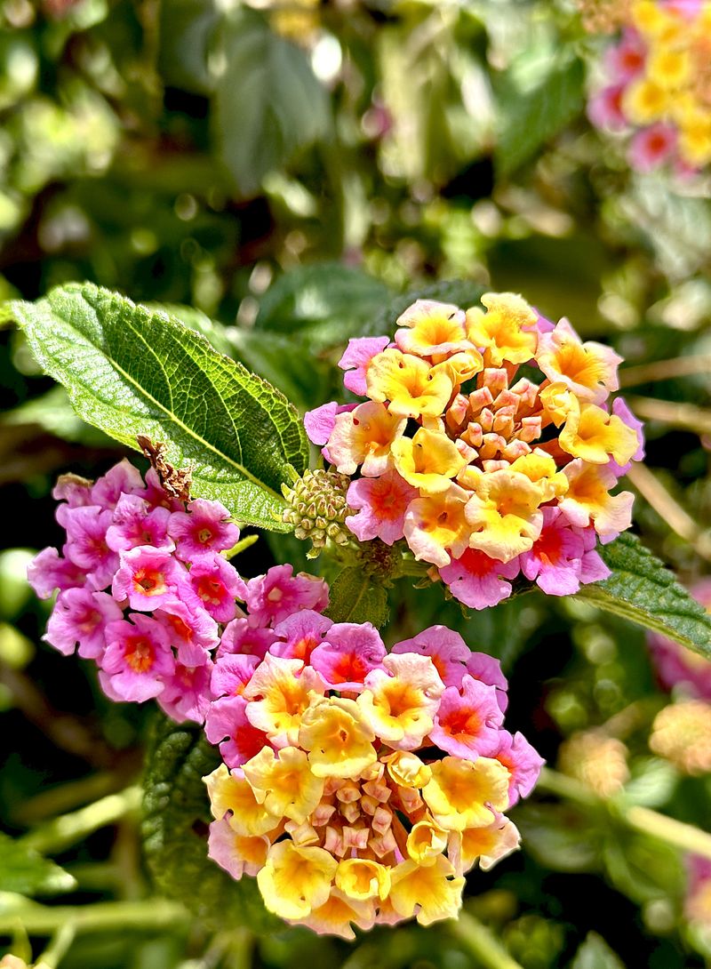 © Kriss Perras - Image from the Morning and Evening Light photography project