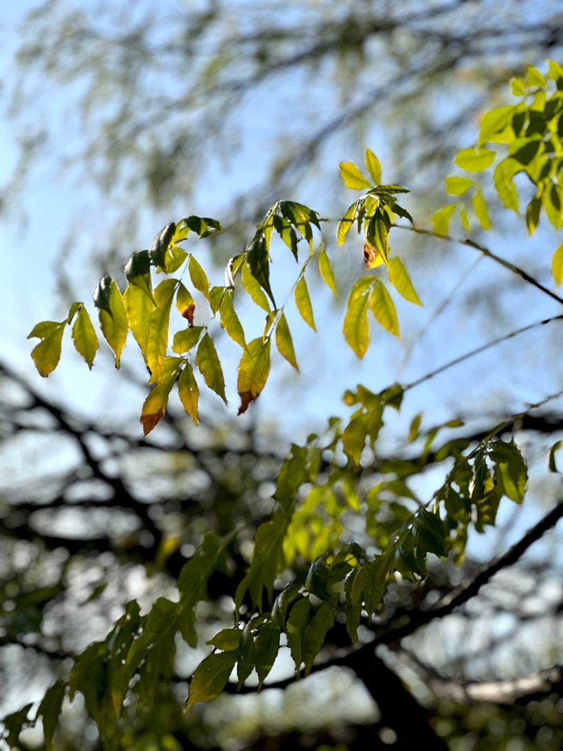 © Kriss Perras - Image from the Morning and Evening Light photography project