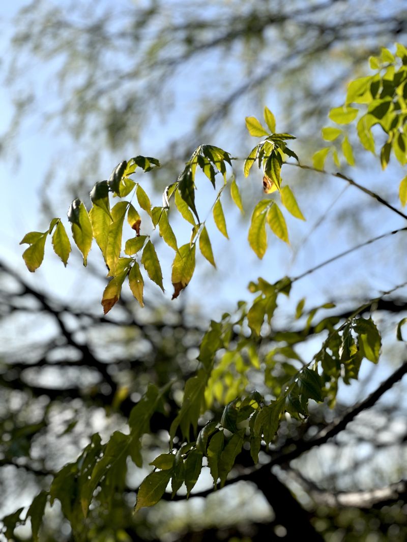 © Kriss Perras - Image from the Morning and Evening Light photography project