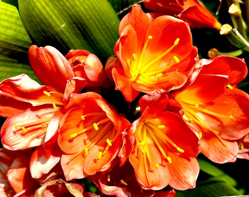 © Kriss Perras - Image from the Morning and Evening Light photography project