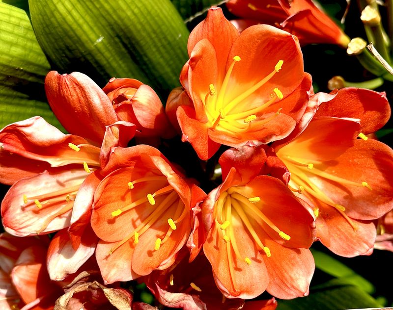 © Kriss Perras - Image from the Morning and Evening Light photography project