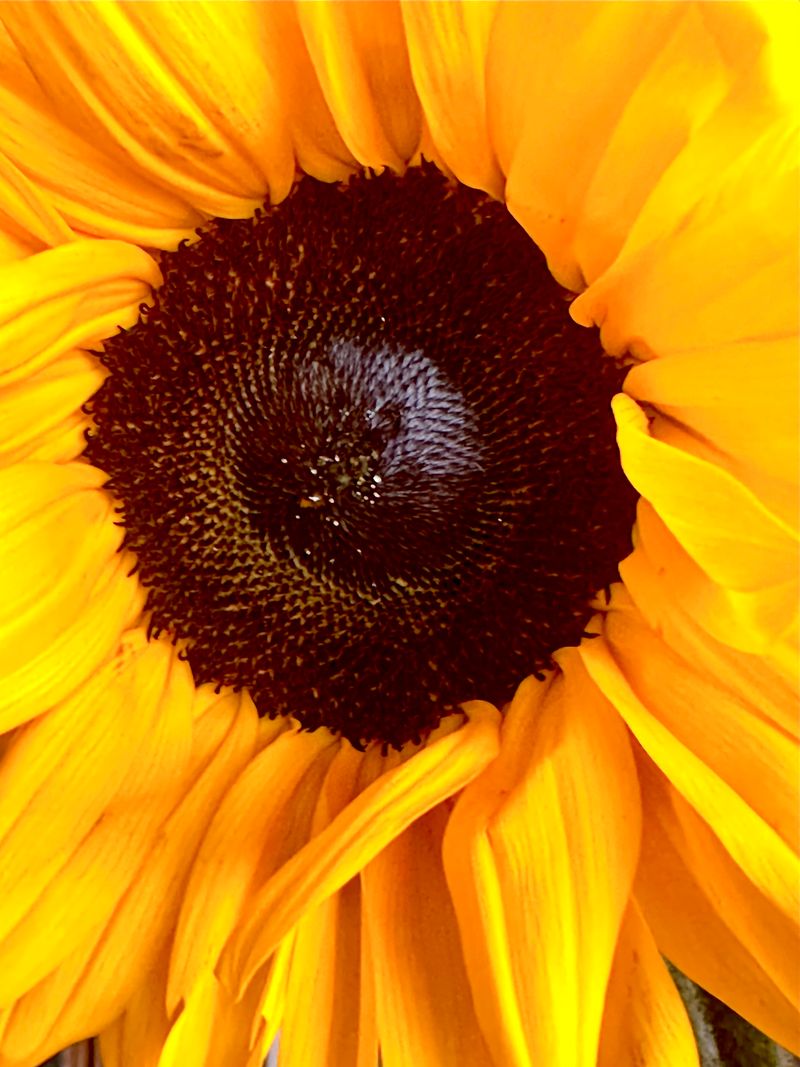 © Kriss Perras - Image from the Morning and Evening Light photography project