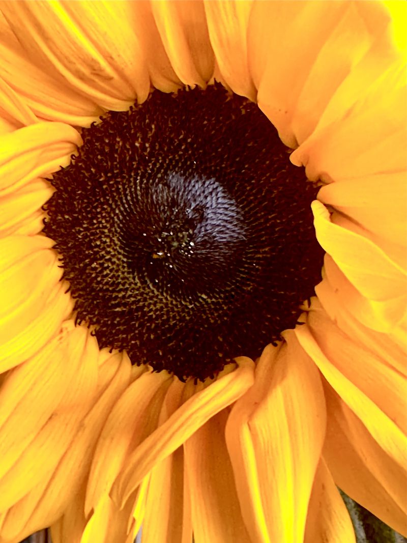 © Kriss Perras - Image from the Morning and Evening Light photography project