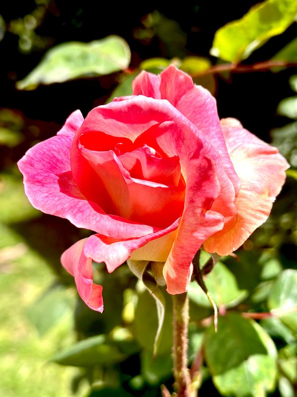 © Kriss Perras - Image from the Morning and Evening Light photography project