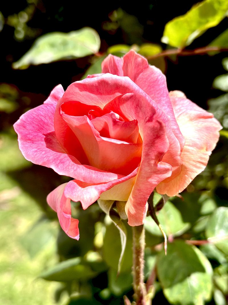 © Kriss Perras - Image from the Morning and Evening Light photography project