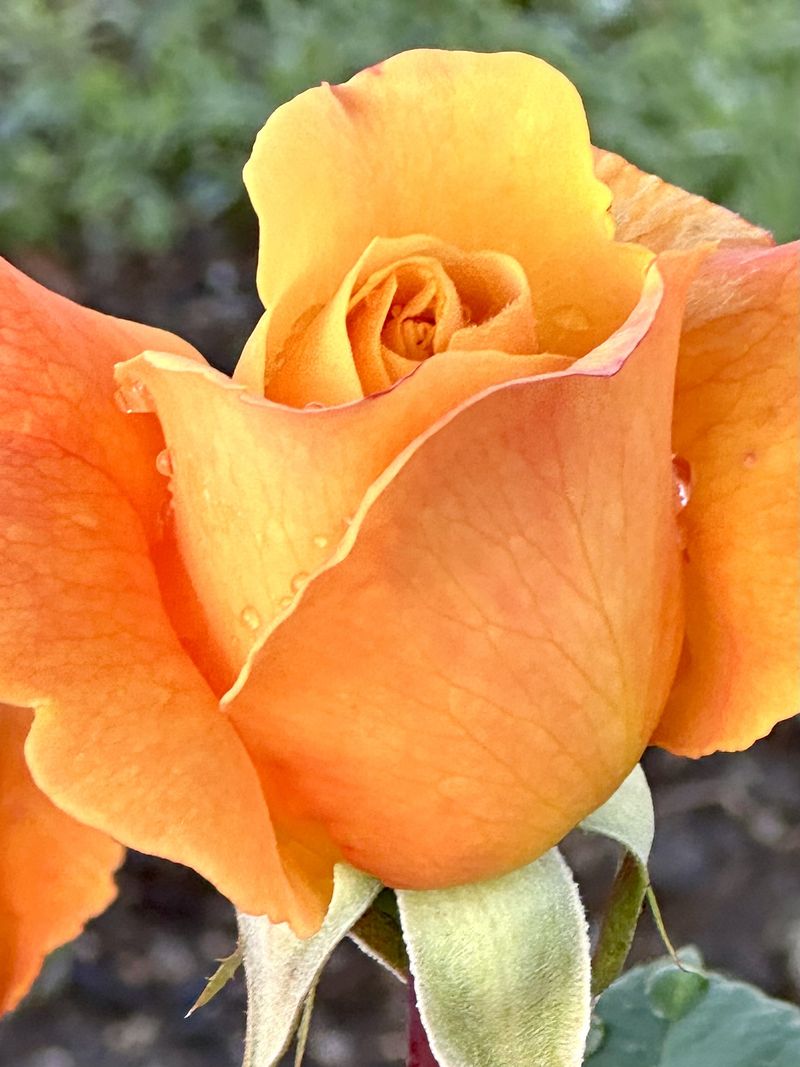 © Kriss Perras - Image from the Morning and Evening Light photography project