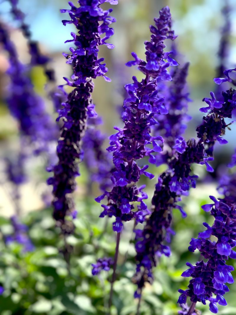 © Kriss Perras - Image from the Morning and Evening Light photography project