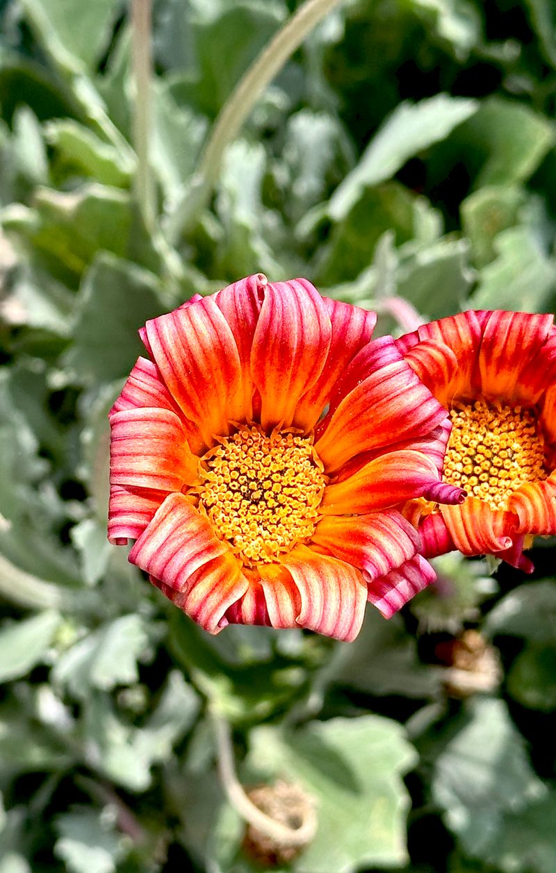 © Kriss Perras - Image from the Morning and Evening Light photography project