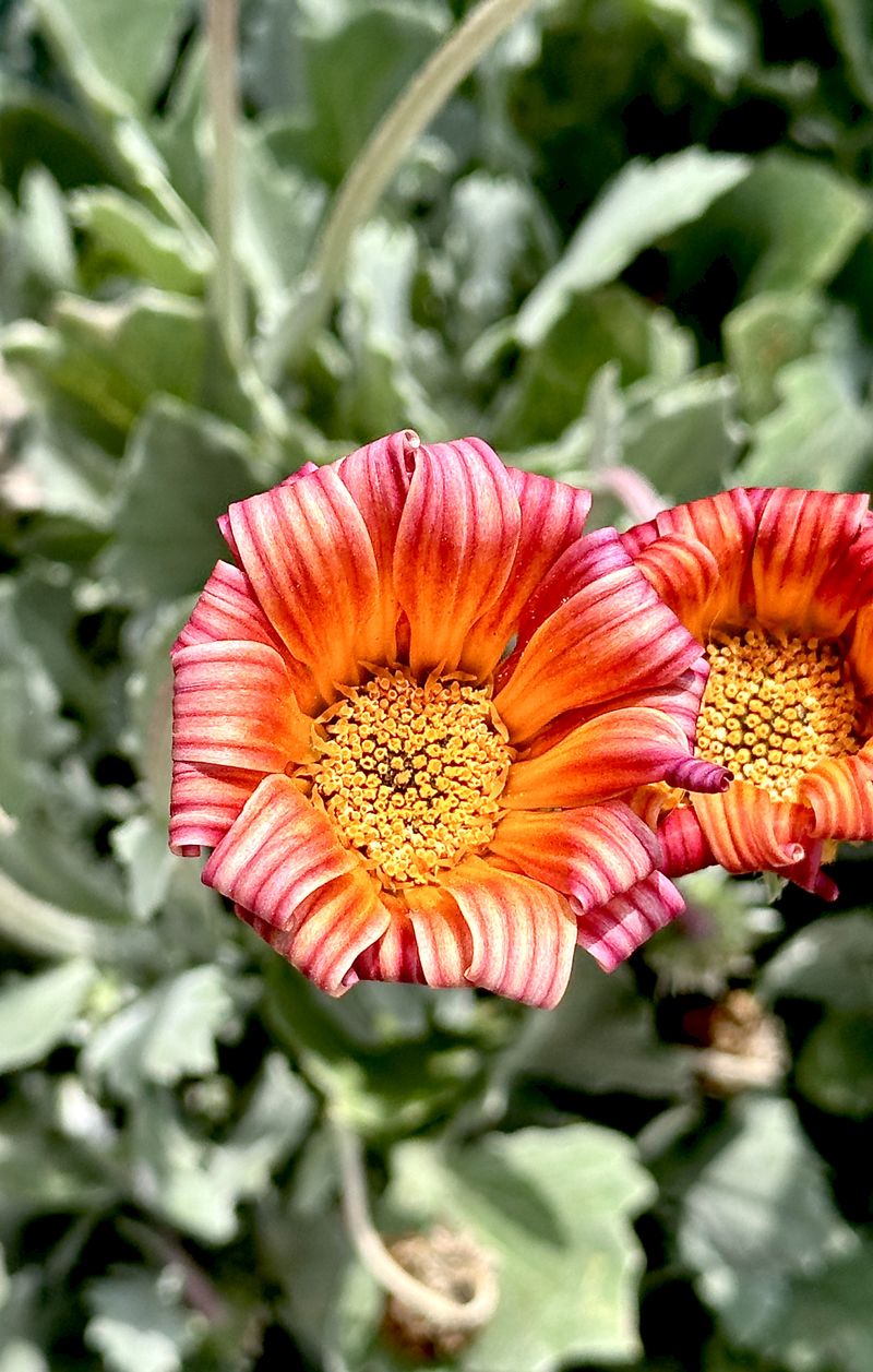 © Kriss Perras - Image from the Morning and Evening Light photography project