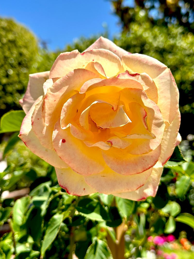 © Kriss Perras - Image from the Morning and Evening Light photography project