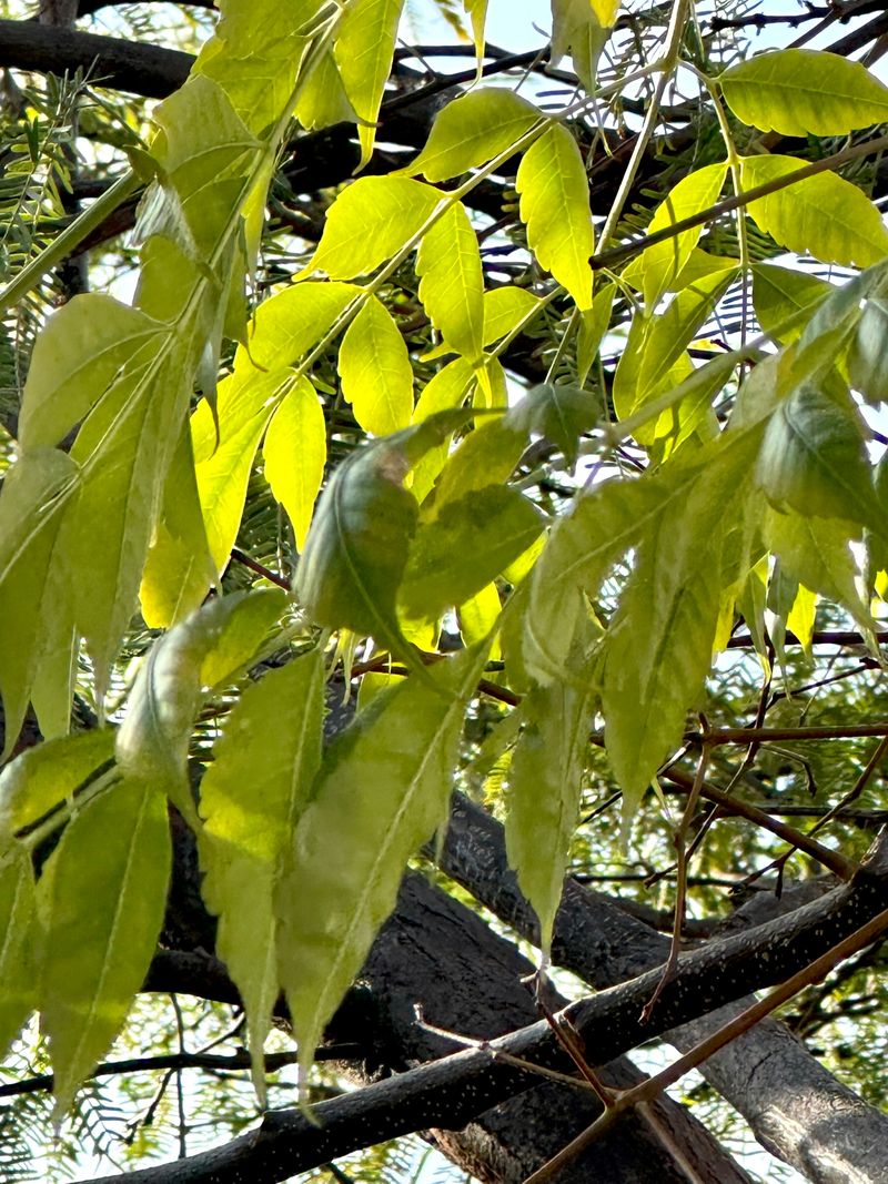 © Kriss Perras - Image from the Morning and Evening Light photography project