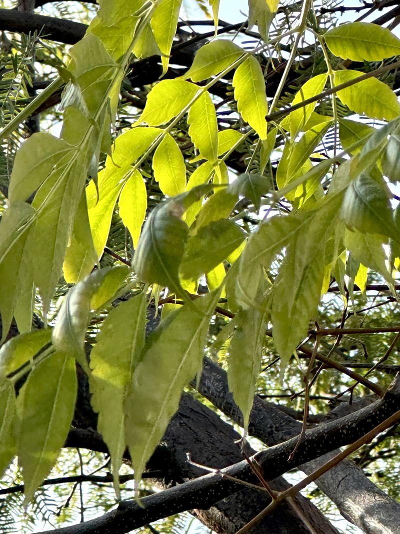 © Kriss Perras - Image from the Morning and Evening Light photography project