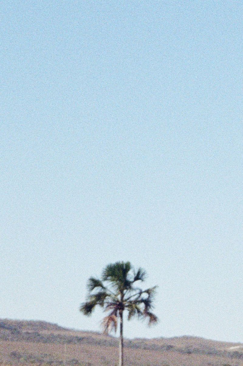 © Leticia Gomide - Image from the TIRA-RUIM photography project