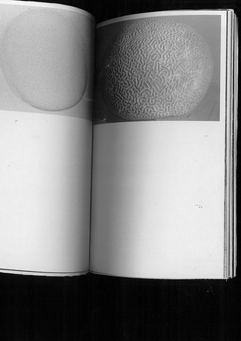 © Yihan Pan - Image from the You Move Like Dust through the Vast and the Minute photography project