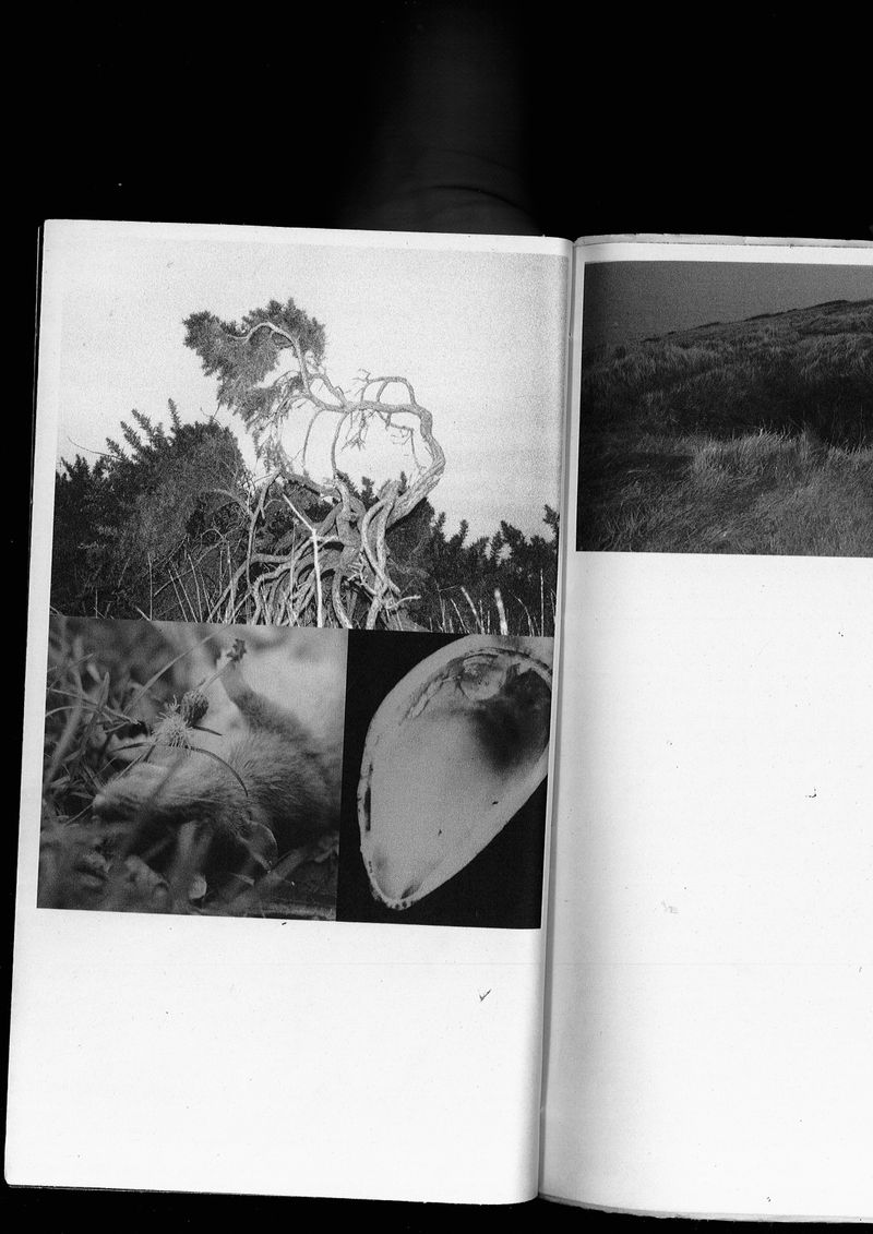 © Yihan Pan - Image from the You Move Like Dust through the Vast and the Minute photography project