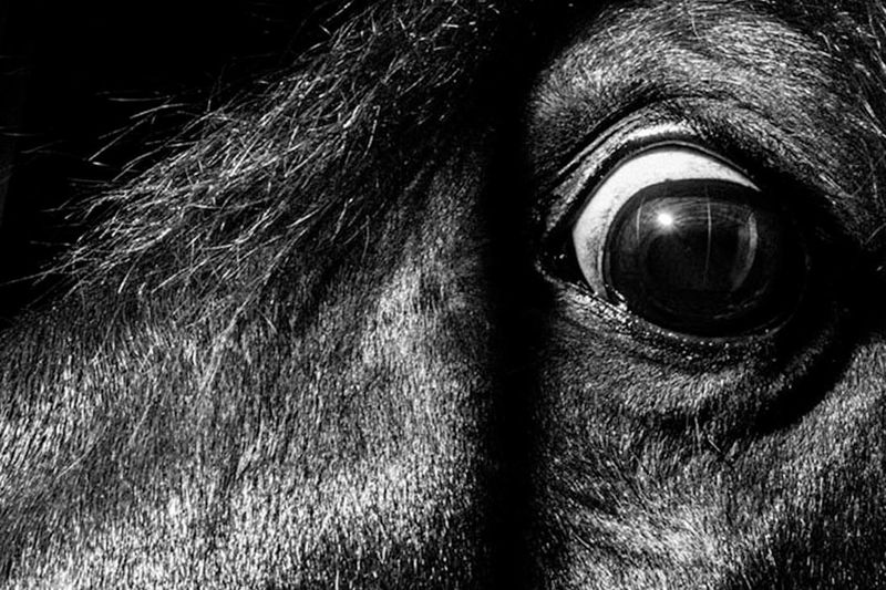 © Anna Da Sacco - Image from the Alas de Cartón photography project
