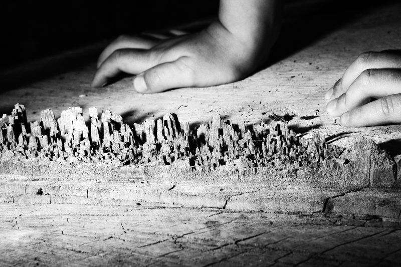 © Anna Da Sacco - Image from the Alas de Cartón photography project