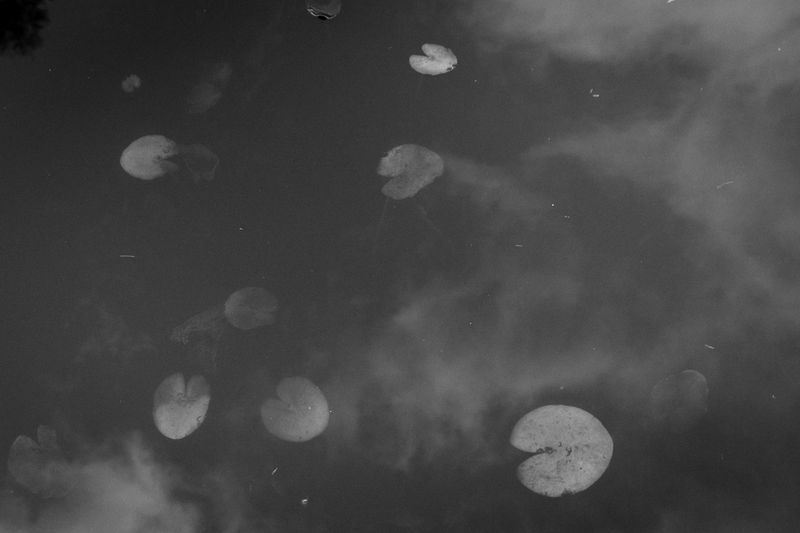 © Anna Da Sacco - Image from the Alas de Cartón photography project