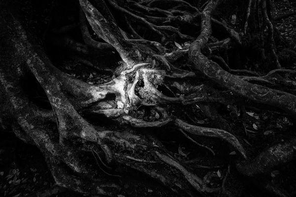 © Anna Da Sacco - Image from the Alas de Cartón photography project