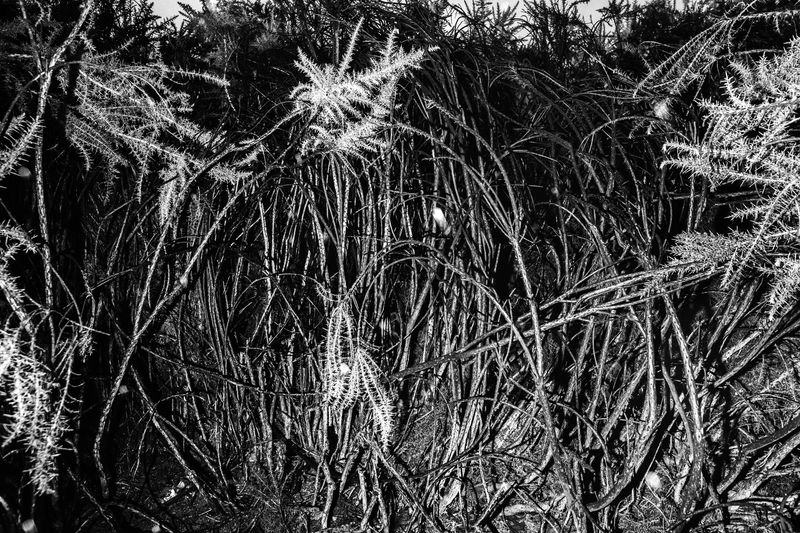 © Anna Da Sacco - Image from the Alas de Cartón photography project