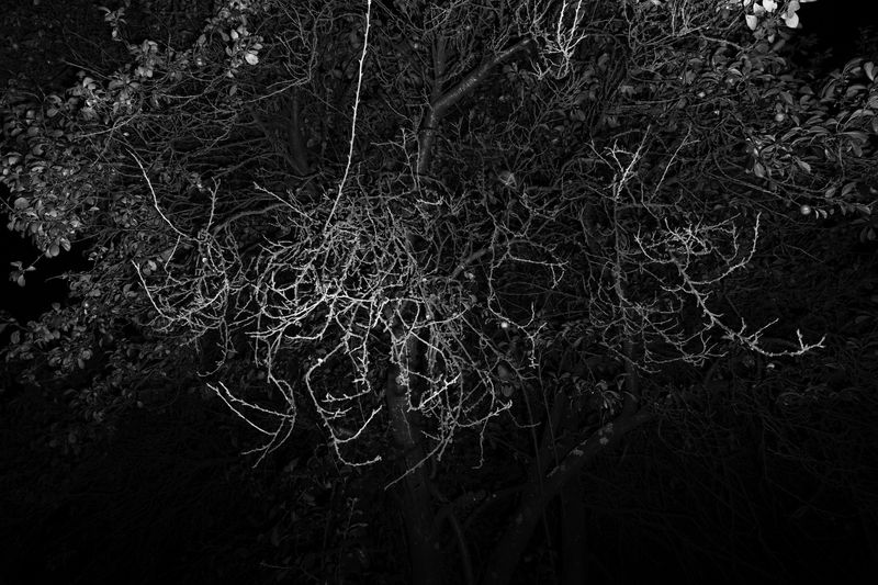 © Anna Da Sacco - Image from the Alas de Cartón photography project